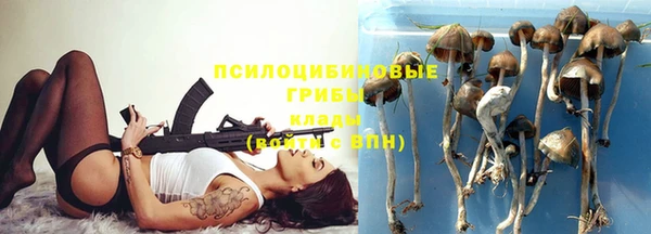 шишки Покачи