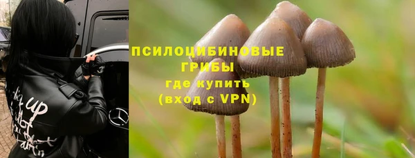 метадон Алексин