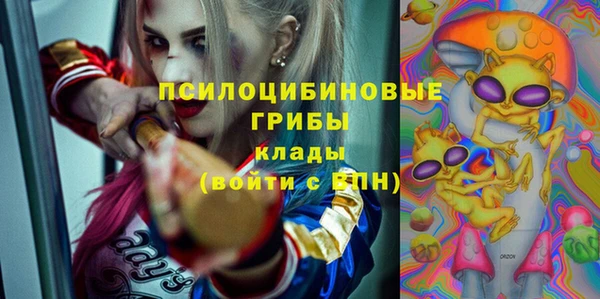 метадон Алексин