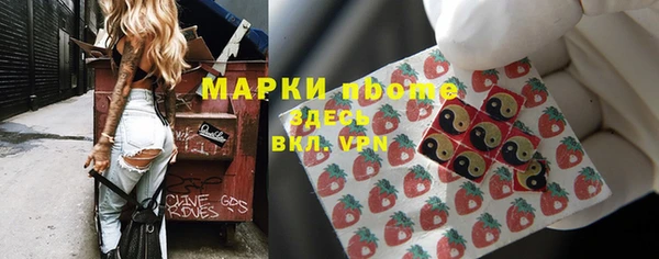 прущие грибы Алексеевка