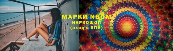 метадон Алексин