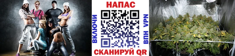 Марихуана Bruce Banner Магадан